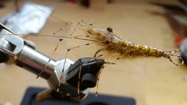 Translucent legs Translucent legs