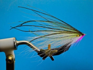 Pete Gray baitfish Pete Gray baitfish