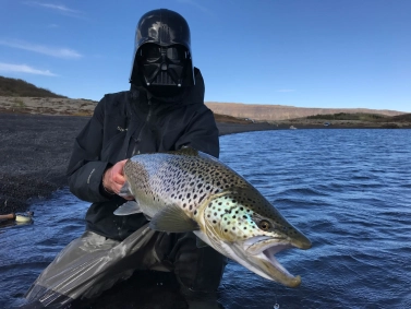 Vader in ION Vader in ION