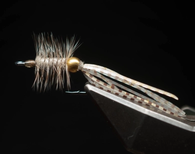 A stiff body hackle A stiff body hackle