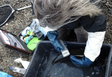 Rreading a tag Rreading a tag