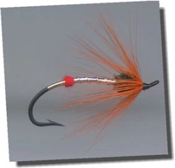 A really old scan A really old scan