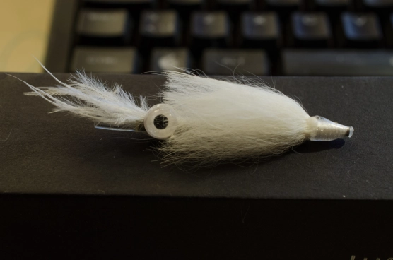 Squid Plus Four Squid Plus Four