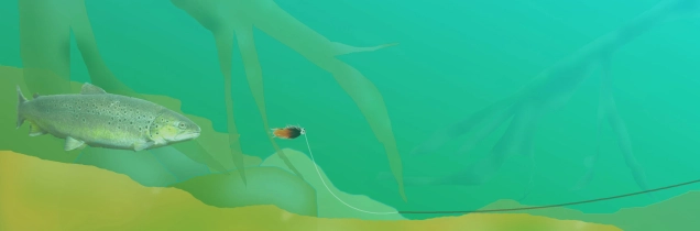 Get down.... or get home Get down.... or get home