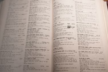 Lavish illustrations... Lavish illustrations...