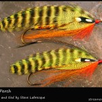 #34 Sebago Perch - Steve Labrecque #34 Sebago Perch - Steve Labrecque