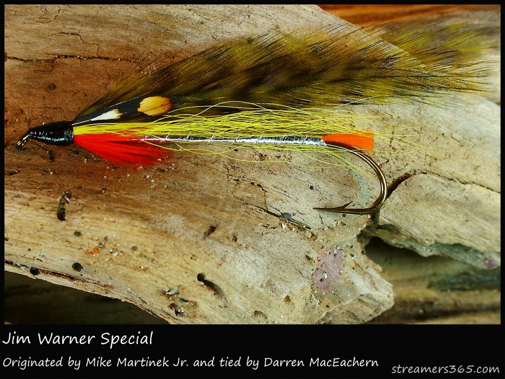 #8 Jim Warner Special - Darren MacEachern #8 Jim Warner Special - Darren MacEachern