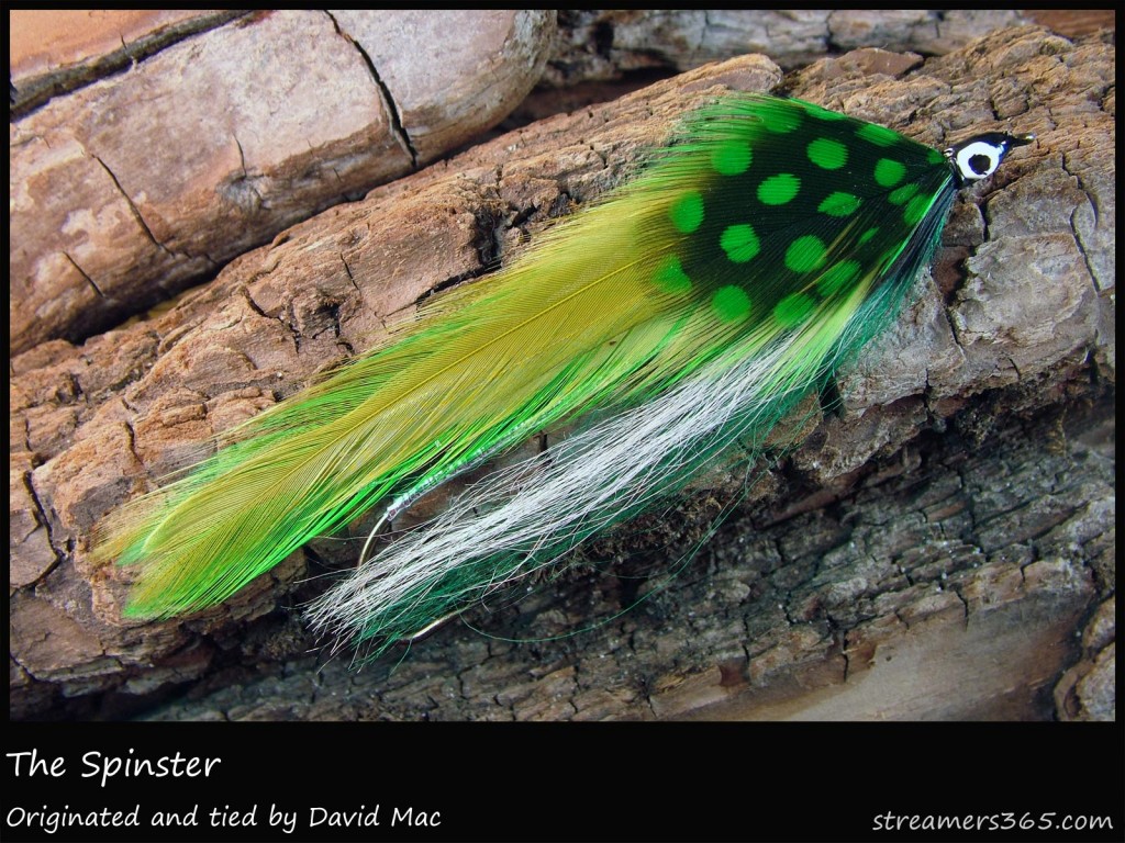 #91 The Spinster - David Mac #91 The Spinster - David Mac