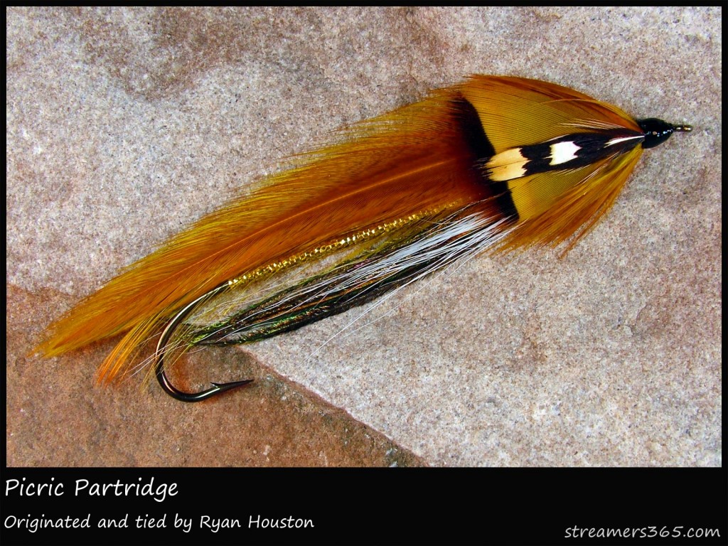 #193 Picric Partridge - Ryan Houston