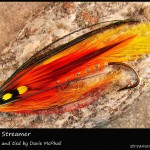 #269 Phoenix Streamer - Davie McPhail #269 Phoenix Streamer - Davie McPhail