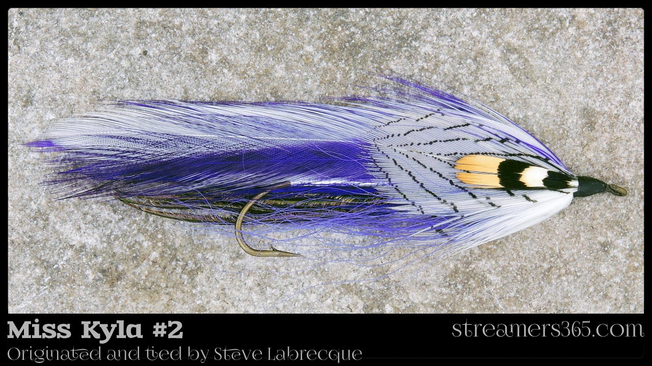 Miss Kyla #2 - Steve Labrecque