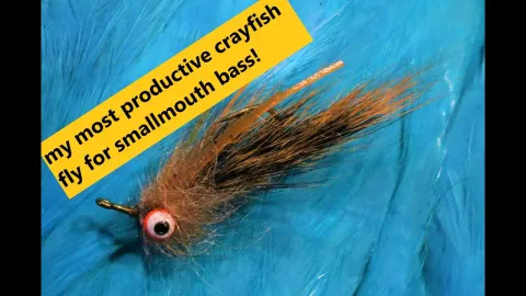 Video thumb for Fox Squirrel Crayfish