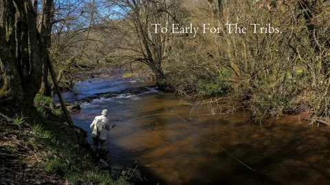 Video thumb for To Early For The Tribs