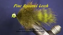 Video thumb for Pine Squirrel Leech