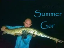 Video thumb for Fly Fishing the Ozarks -- Summer 2012