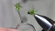 Video thumb for The Royal Gorgeous Caddis