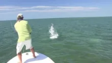 Video thumb for Dave and Ryan go Tarpon Fishing