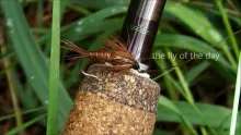Video thumb for A day at the river fly fishing