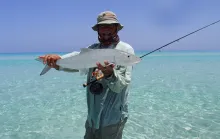 Video thumb for Bonefishing in Yemen