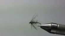 Video thumb for Zebra Midge Soft Hackle