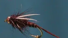 Video thumb for Deer Creek Claret Pheasant Tail Prince