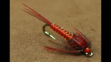 Video thumb for Clear Stretch Pheasant Tail Nymph