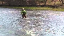 Video thumb for A Beginners Guide To Wet Fly Fishing, 