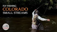Video thumb for Small Stream Colorado
