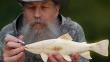 Video thumb for Carving a Wooden Brook Trout