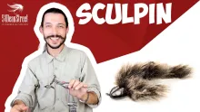 Video thumb for Sculpin