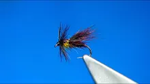 Video thumb for Claret Drop Caddis