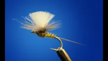 Video thumb for Parachute Mayfly in 2 Minutes