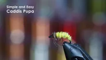 Video thumb for Simple Caddis