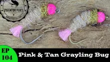 Video thumb for Pink & Tan Grayling Bug