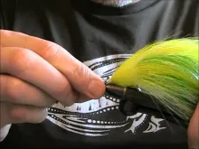 Video thumb for Wild Thing