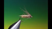 Video thumb for Egg Laying Caddis