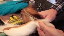 Video thumb for Prepping bucktail