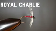 Video thumb for Royal Charlie