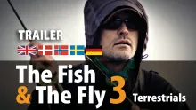 Video thumb for The Fish & The Fly 3 Terrestrials 