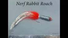 Video thumb for Nerf Rabbit Roach