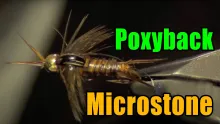 Video thumb for Poxyback Microstone Stonefly