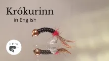Video thumb for Krókurinn