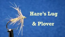 Video thumb for Hare’s Lug and Plover