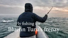 Video thumb for Fly fishing for bluefin tuna