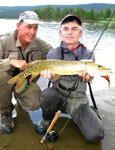 User submitted picture: "Greetings from Pikeland...