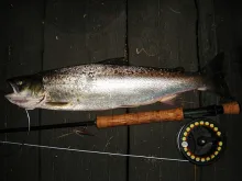 User submitted picture: My first seatrout big eno...