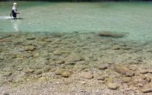 User submitted picture: Chasing some shy rainbows...