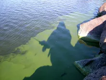 User submitted picture: Low water level and warm ...