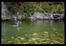 User submitted picture: Looking for trophy