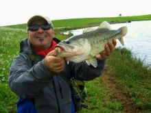 User submitted picture: Brazilian bass!!!!